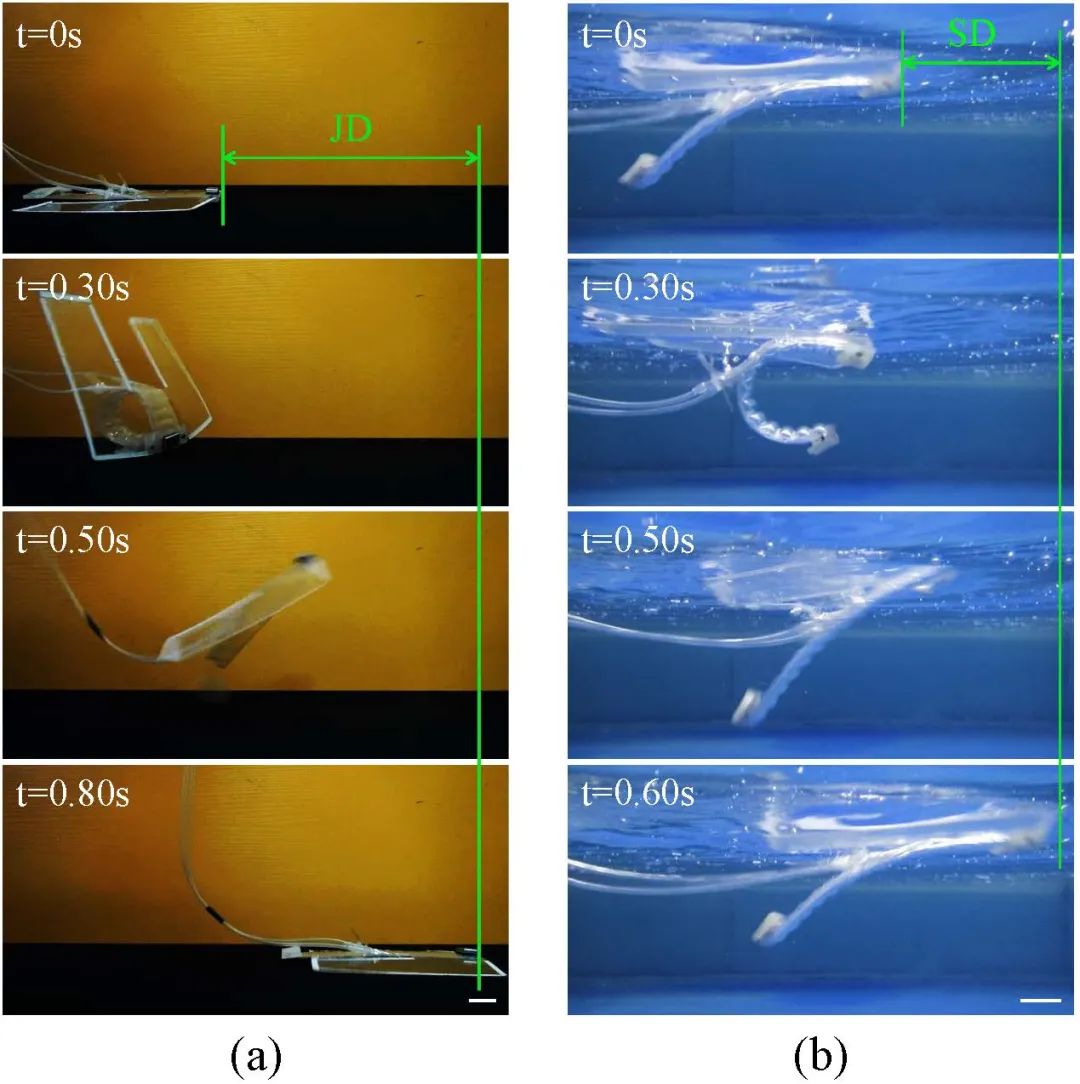 《IEEE Transactions on Robotics》发表！北京大学研究团队推出具有多种运动模态的软体两栖机器人(图3)